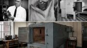 Микроволновка и ещё 5 вещей, которые нашли случайно — фото
